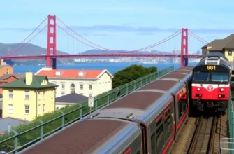 A diverse cityscape featuring buses, subways, and bicycles symbolizing vibrant public transportation.