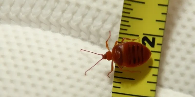 Comfortable apartment space reflecting cleanliness and security.